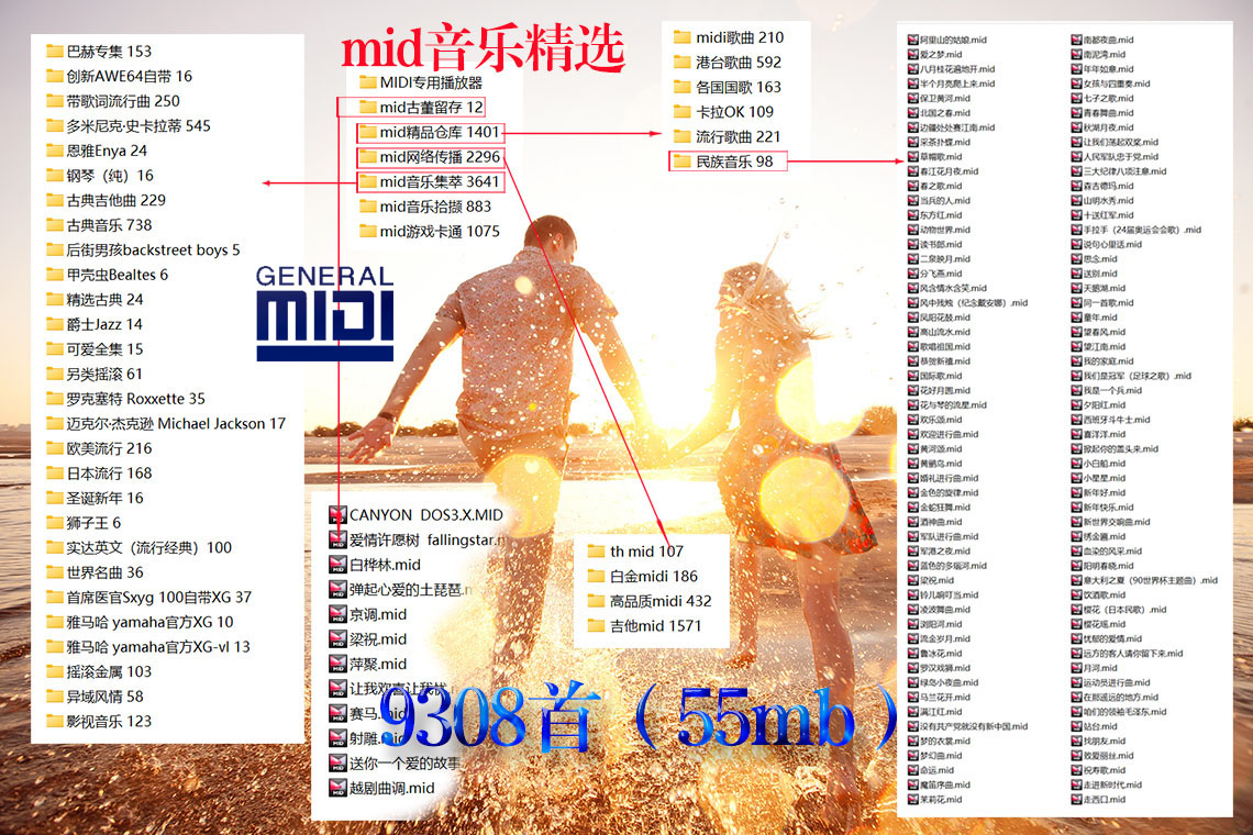 MID音乐9308首（55mb）（重磅收藏品） 【来源：赤道365论坛】 帖子ID:8690 音乐